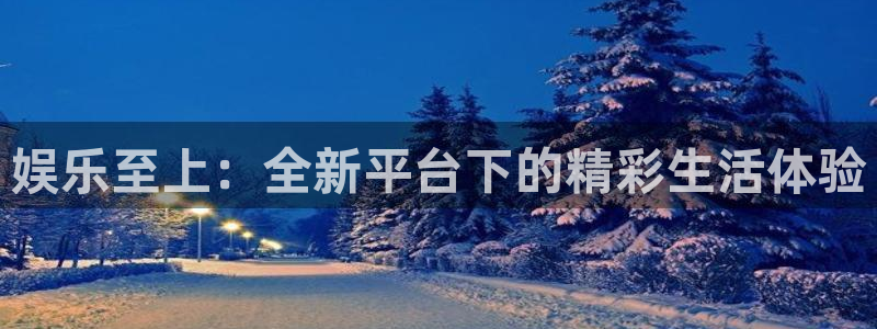 彩神vii官方：娱乐至上：全新平台下的精彩生活体验