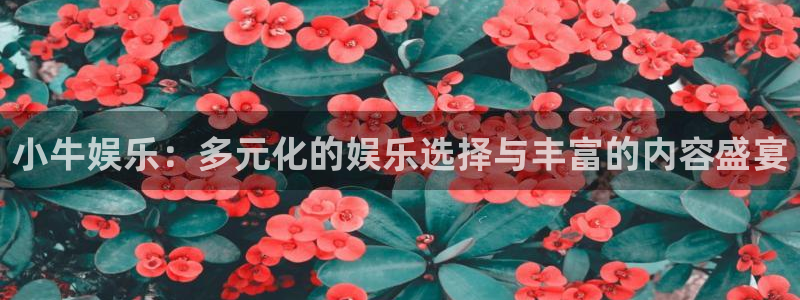 彩神vii官方：小牛娱乐：多元化的娱乐选择与丰富的内容盛宴