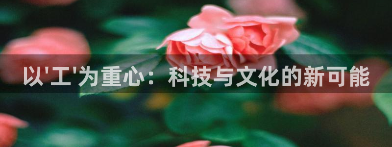 彩神vii官方：以\'工\'为重心：科技与文化的新可能